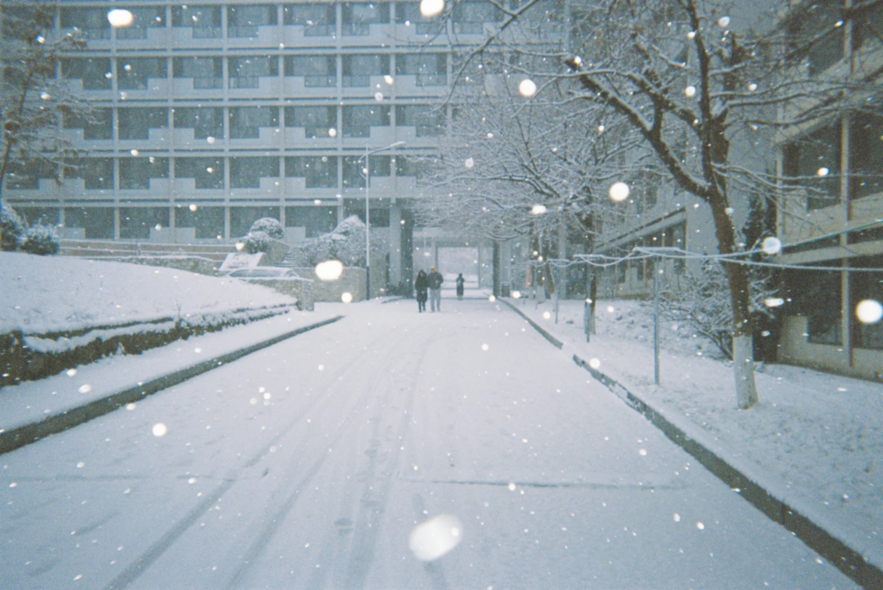雪花飘落在安静的步道上